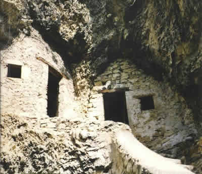 Il monachesimo: Le origini Origini del monachesimo.